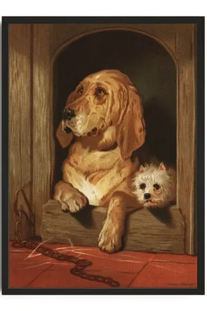 Dignity And Impudence