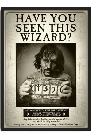 Have You Seen This Wizard
