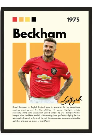 Beckham Infographic Poster