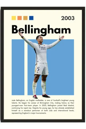Bellingham Infographic Poster