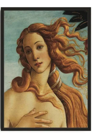 Botticelli Birth Of Venus 1