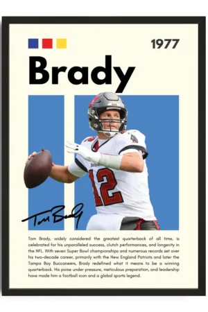 Brady Infographic Poster