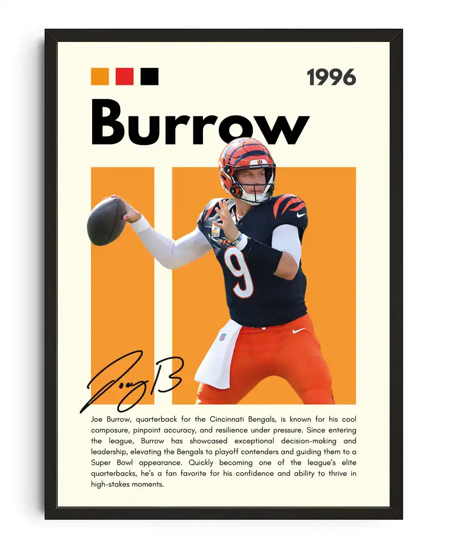 Burrow Infographic Poster