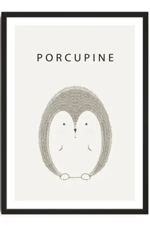 Cute Porcupine Art