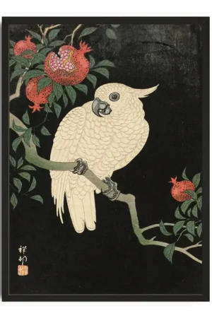 Ethereal Parrot Silhouette