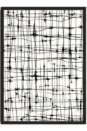 Fractured Harmony In Black And White