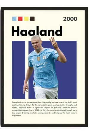 Haaland Infographic Poster