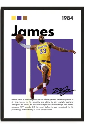 Lebron James Infographic Poster