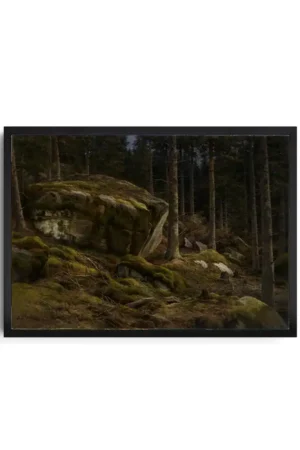 Lindgren Forest Scene