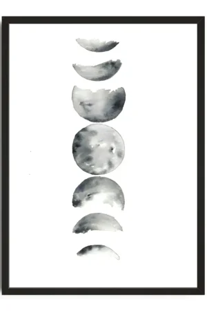 Lunar Reflections In Gray