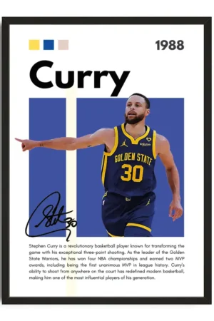 Stephan Curry Infographic Poster