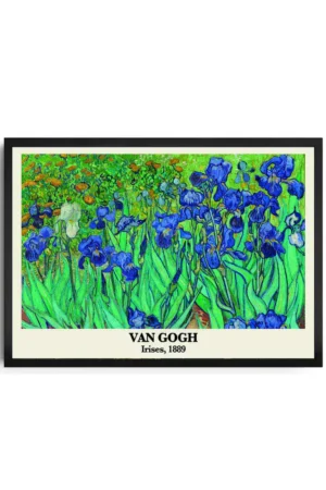 Van Gogh Irises