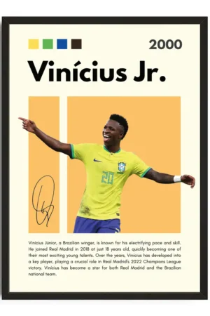 Vinicius Infographic Poster
