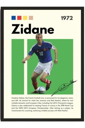 Zidane Infographic Poster